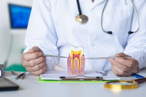 Best Emergency Root Canal Treatment in Poplar Grove, IL